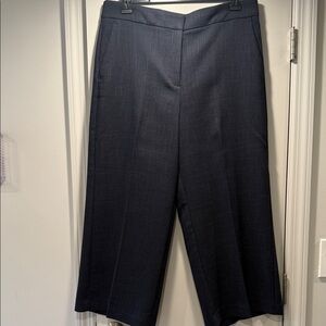 Ann Taylor Navy Wide-Leg Dress Pants
